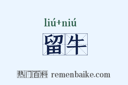 留牛是什么意思的图片